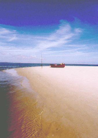 Tranquility Beach